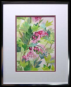 Bleeding Hearts is an original watercolor painting by Louise Steinbach. This floral is a close up of the red and white flowers hanging amidst green leaves on a pink background.