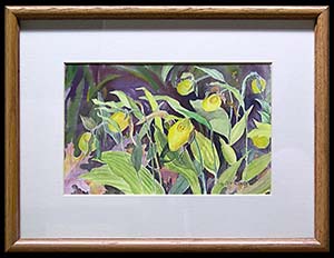 Door County Lady’s Slippers is a floral watercolor painting by L K Steinbach of the yellow flowers and their light green leaves.